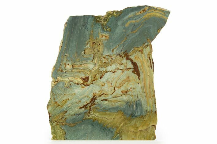 Free-Standing, Gary Green Jasper (Larsonite) Bog Wood - Oregon #334838